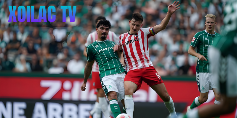 Dự đoán kết quả Werder Bremen và Hamburger SV