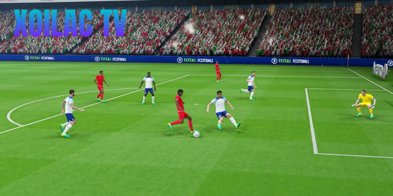 Total Football - bóng đá tổng lực là gì