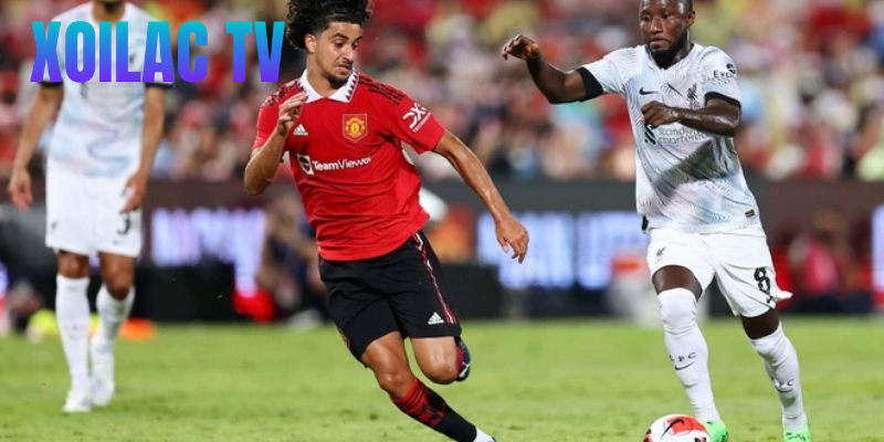 Tùy theo sơ đồ, vai trò và nhiệm vụ cũng thay đổi